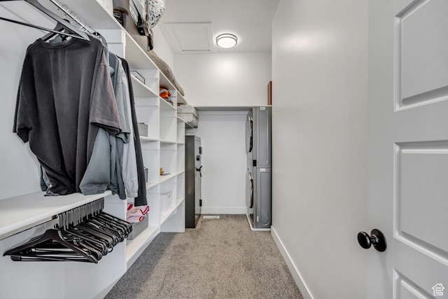 1153 W 1425th Dr N, Lehi, UT 84043 - walk in closet with light carpet