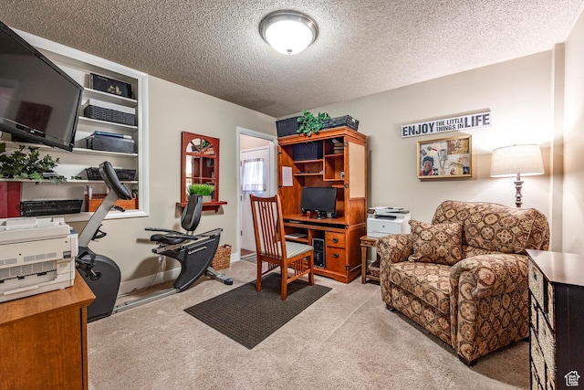 395 W 400 N Unit 39, Bountiful, UT 84010 - carpeted office space featuring a textured ceiling