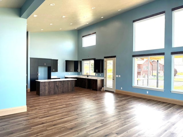 2584 S Country Club Dr Unit 12, Garden City, UT 84028 - unfurnished living room with a towering ceiling, recessed lighting, wood finished floors, and plenty of natural light