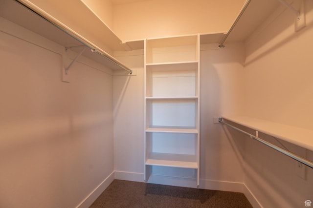 walk in closet featuring carpet