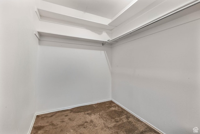 3565 E Summer Estates Cir, Cottonwood Heights, UT 84121 - walk in closet with carpet flooring
