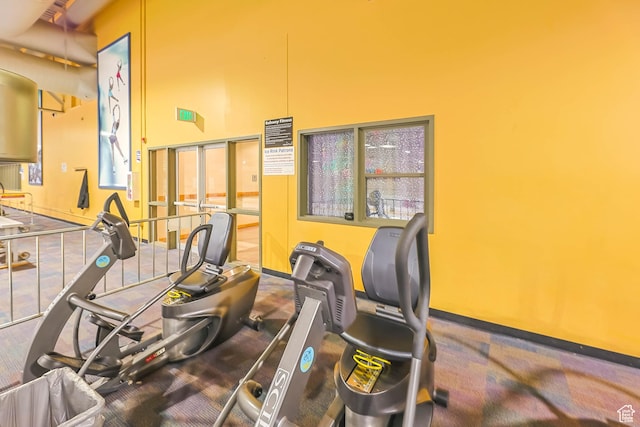 3565 E Summer Estates Cir, Cottonwood Heights, UT 84121 - exercise room with a high ceiling