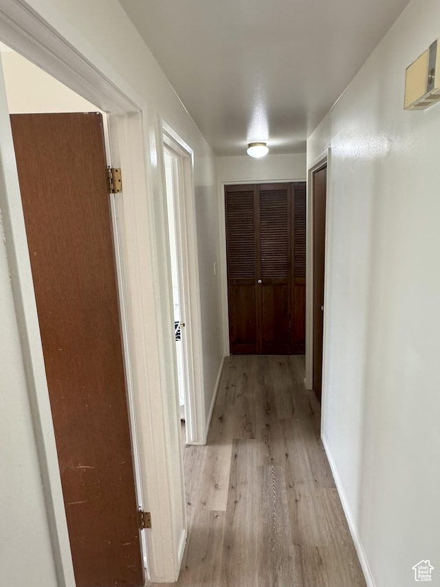 1316 S 200 W Unit 14, Bountiful, UT 84010 - corridor featuring light wood finished floors and baseboards