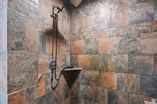 1518 E 9000 N, Preston, ID 83263 - details with tiled shower