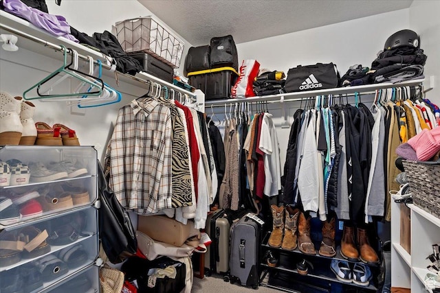 walk in closet with carpet flooring