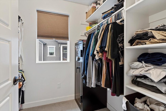 spacious closet featuring carpet