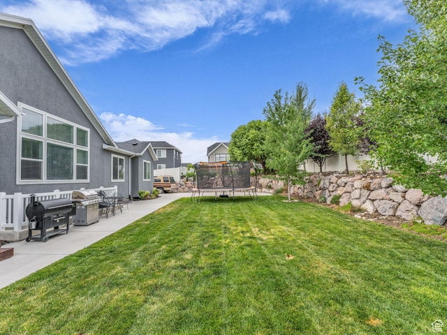 13456 S Rowell Dr, Herriman, UT 84096 - view of yard with a trampoline and a patio area