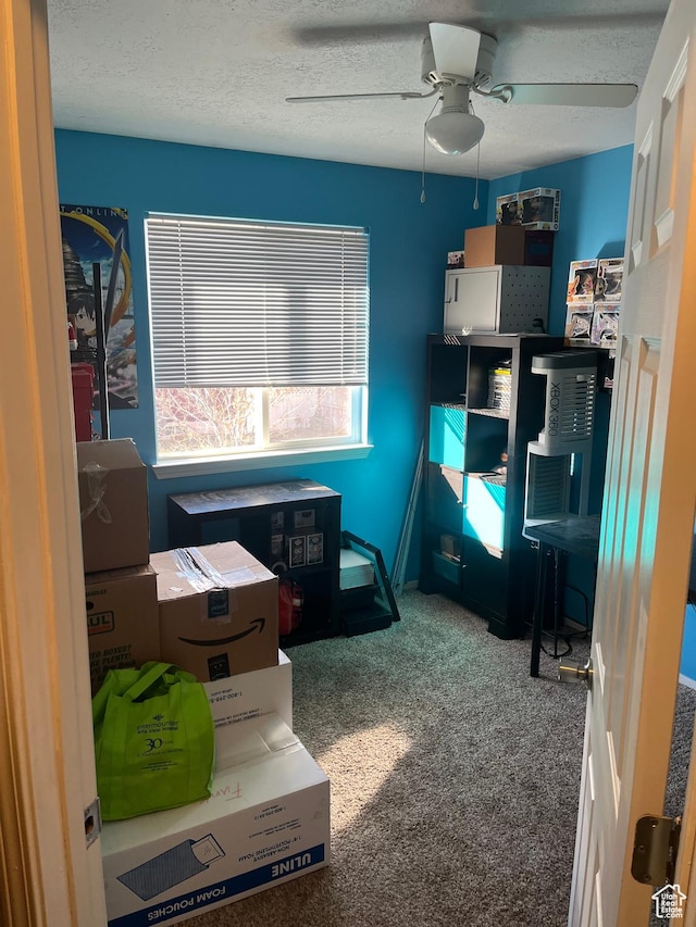 3134 S Buena Verde Ln, Magna, UT 84044 - carpeted office space with ceiling fan and a textured ceiling
