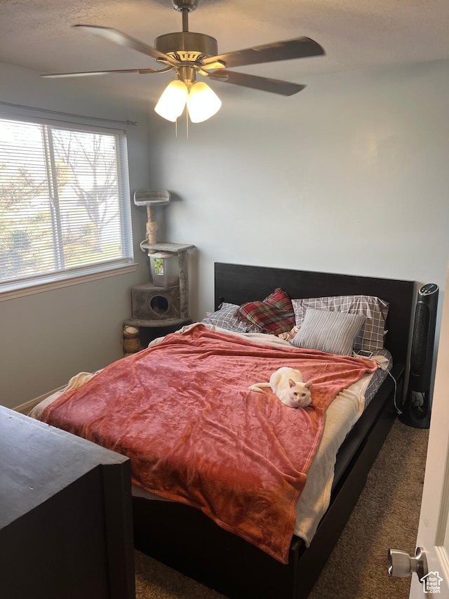 3134 S Buena Verde Ln, Magna, UT 84044 - carpeted bedroom with ceiling fan
