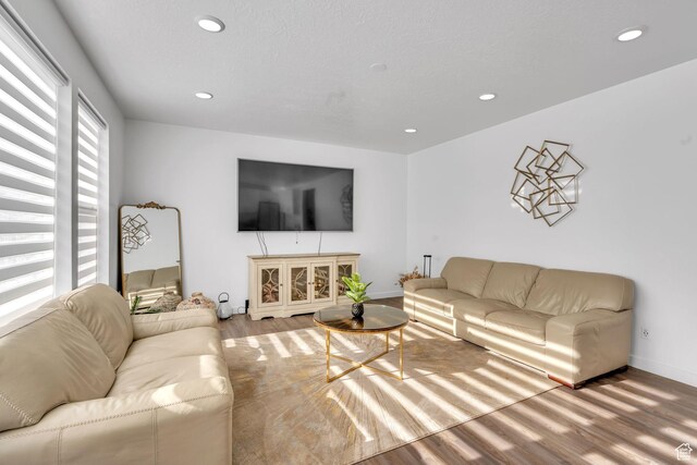 1025 S 850 W, American Fork, UT 84003 - living room with hardwood / wood-style flooring