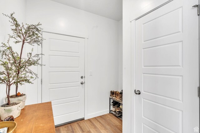 1025 S 850 W, American Fork, UT 84003 - foyer entrance with light hardwood / wood-style flooring