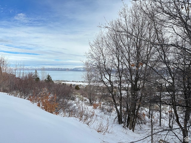 2310 S Sweetwater Pkwy Unit 5, Garden City, UT 84028 - water view