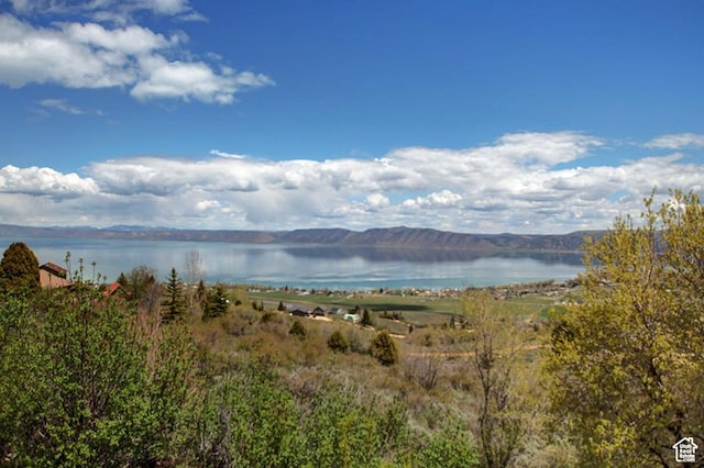 2310 S Sweetwater Pkwy Unit 5, Garden City, UT 84028 - water view
