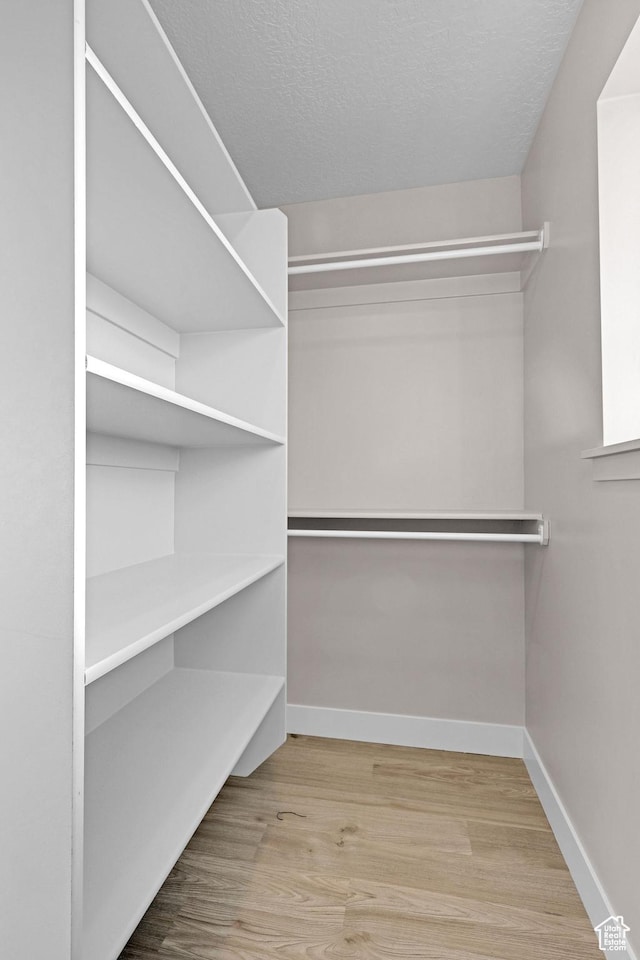 walk in closet featuring light wood-type flooring