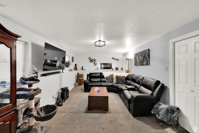 556 W 1050 N, Pleasant Grove, UT 84062 - carpeted living room featuring a textured ceiling