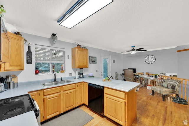 556 W 1050 N, Pleasant Grove, UT 84062 - kitchen featuring electric stove, a sink, light wood-style floors, dishwasher, and a peninsula