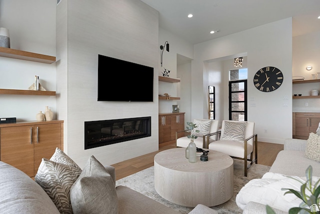 living room featuring a large fireplace and light hardwood / wood-style flooring