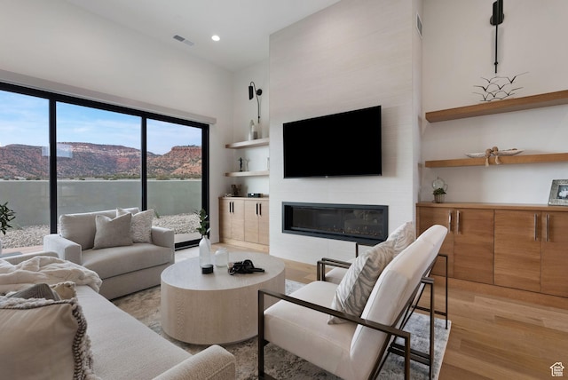 living room featuring a large fireplace and light hardwood / wood-style flooring