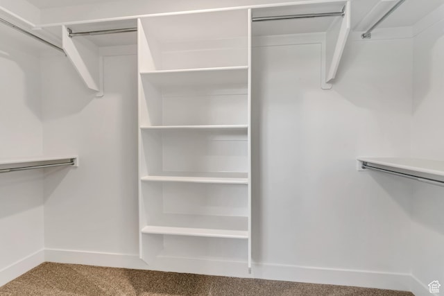7949 N Bristlecone Rd Unit 206, Eagle Mountain, UT 84005 - spacious closet with carpet floors