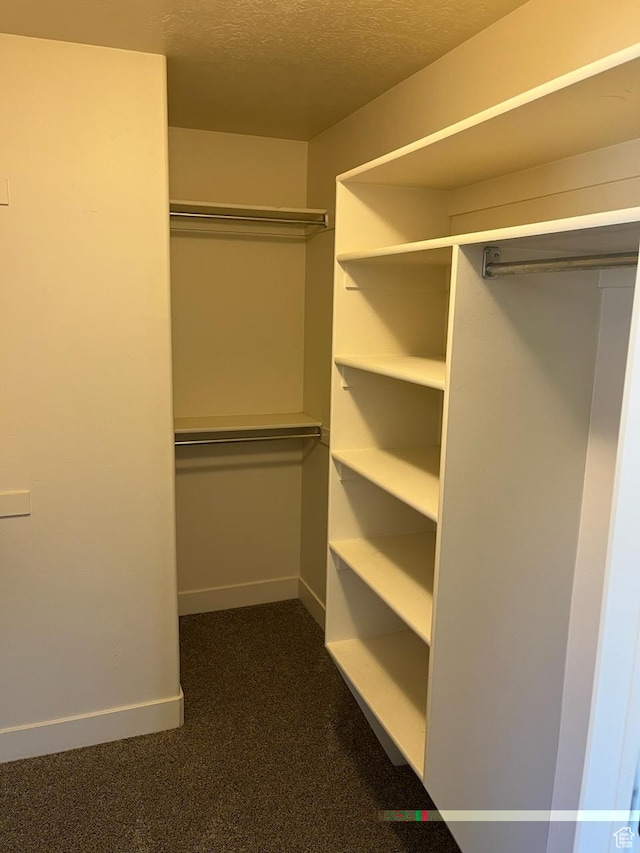 spacious closet with dark carpet