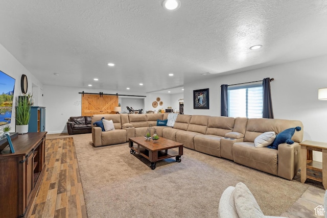 living room featuring a textured ceiling and a barn door