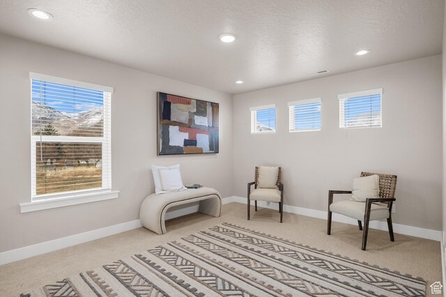 525 N 1550 W Unit Ge01, Mapleton, UT 84664 - sitting room with a textured ceiling, carpet floors, recessed lighting, and baseboards