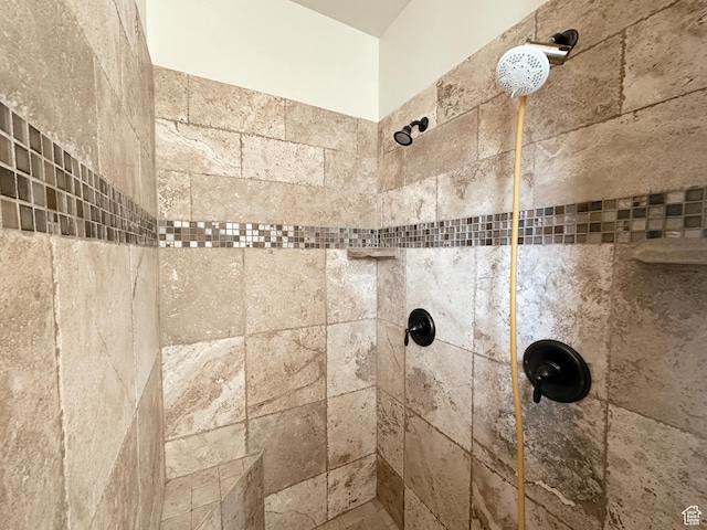 2596 S Little Valley Rd, St George, UT 84790 - interior details featuring a tile shower