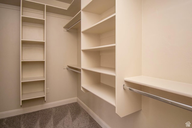 2596 S Little Valley Rd, St George, UT 84790 - walk in closet with carpet flooring