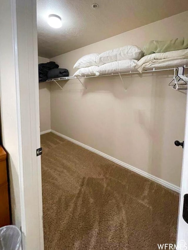 2511 Redcliff Rd Unit 1D, Moab, UT 84532 - walk in closet with carpet floors