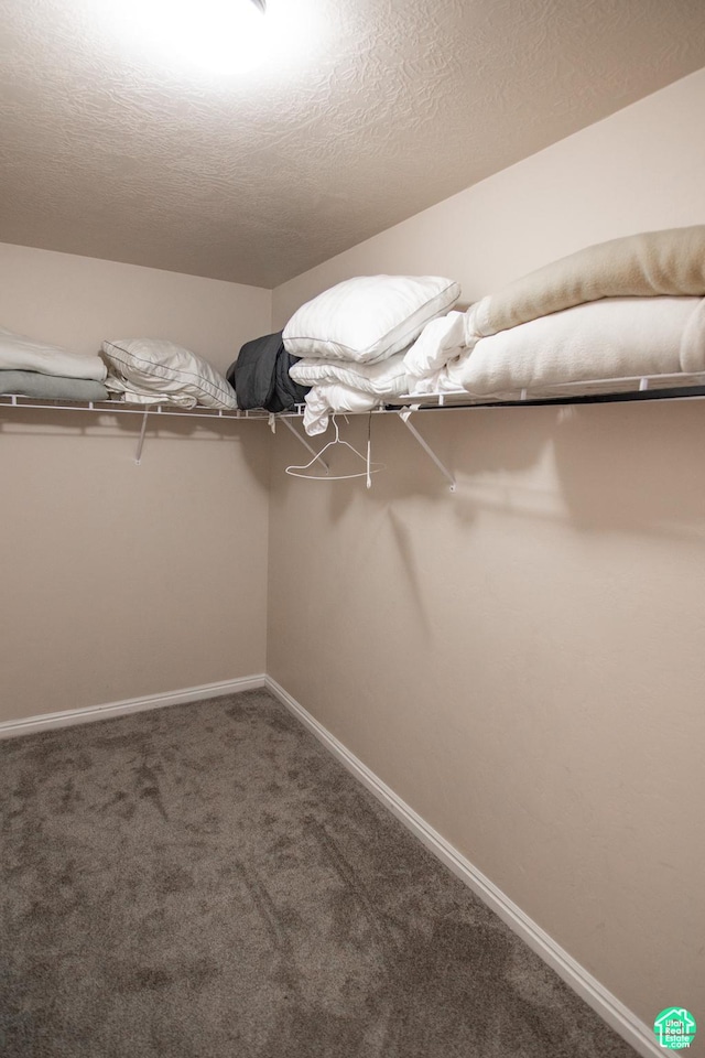 2511 Redcliff Rd Unit 1D, Moab, UT 84532 - spacious closet with carpet