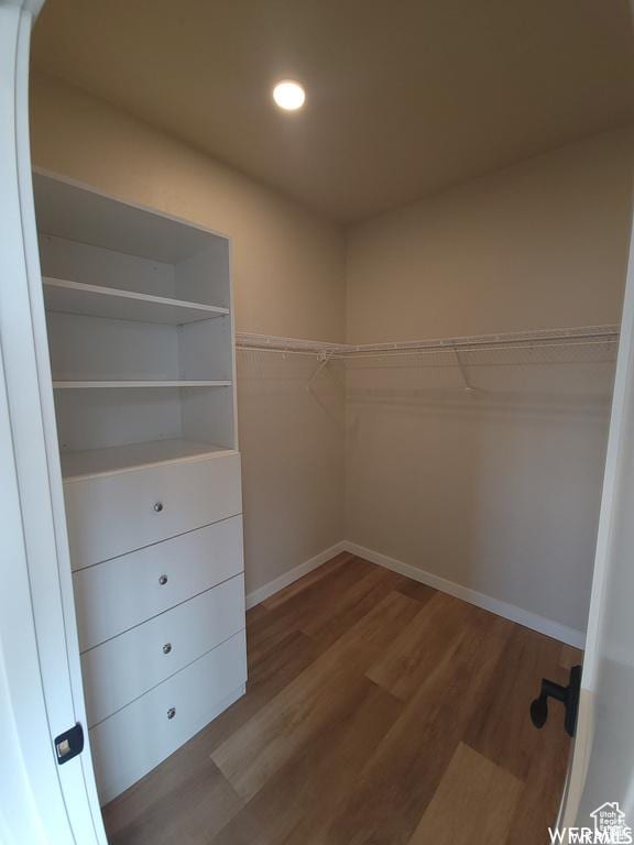 walk in closet featuring hardwood / wood-style floors