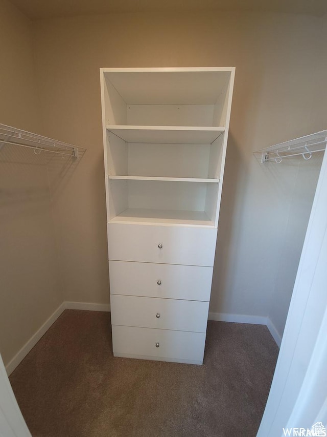 spacious closet with dark carpet