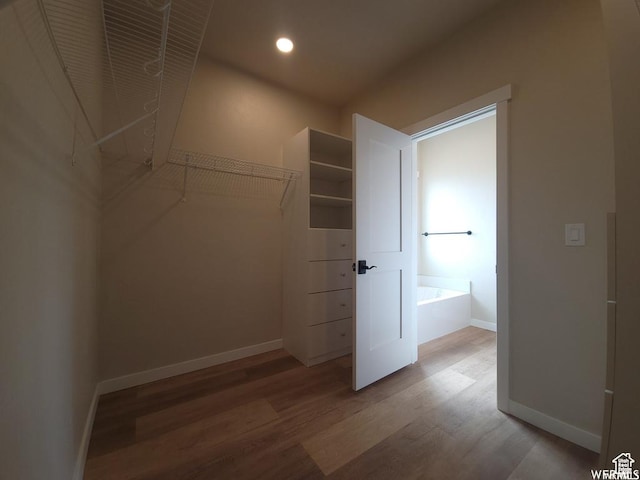 spacious closet with hardwood / wood-style flooring