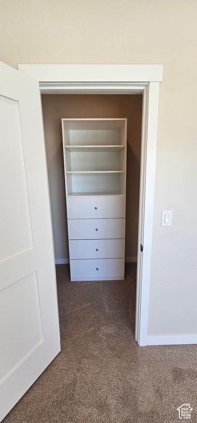 831 N 1820 E Unit 66, Price, UT 84501 - view of closet