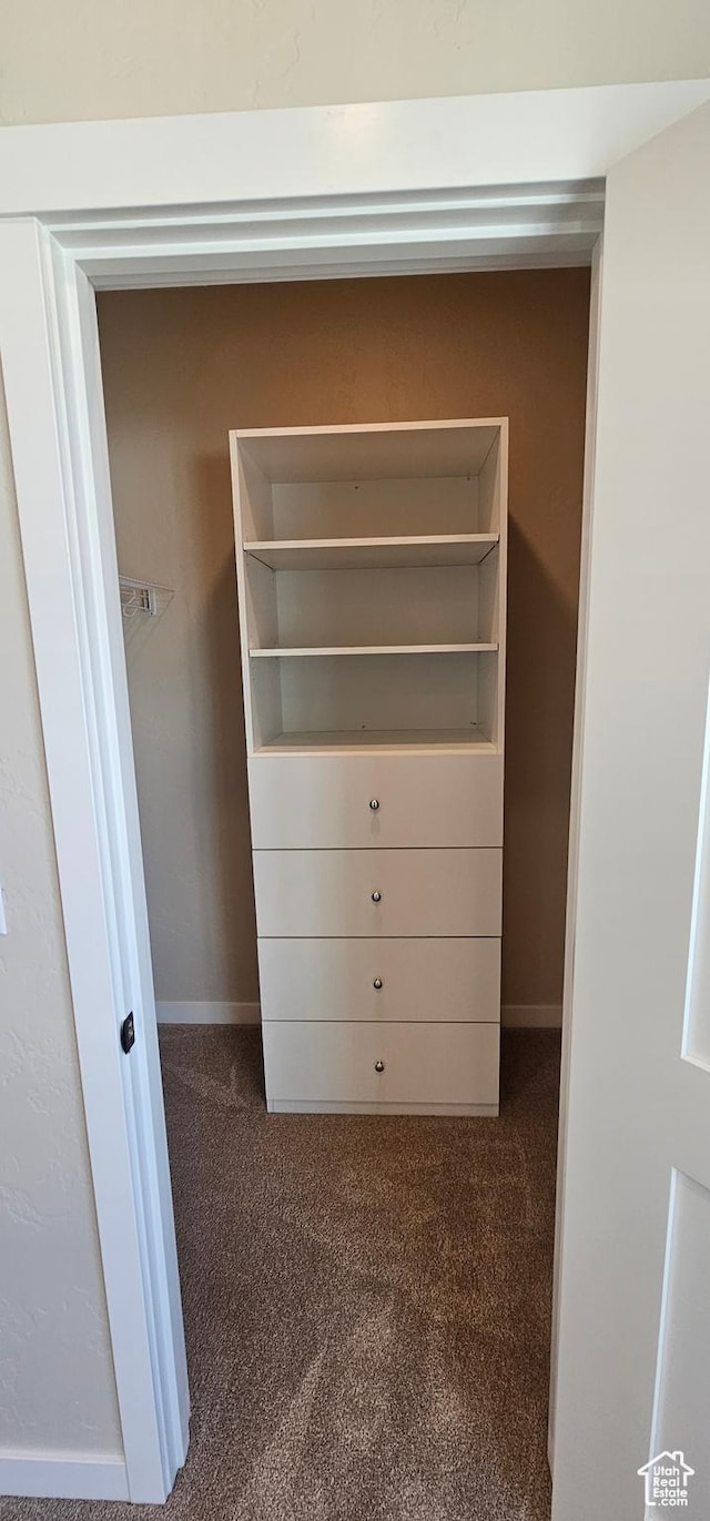 831 N 1820 E Unit 66, Price, UT 84501 - view of closet