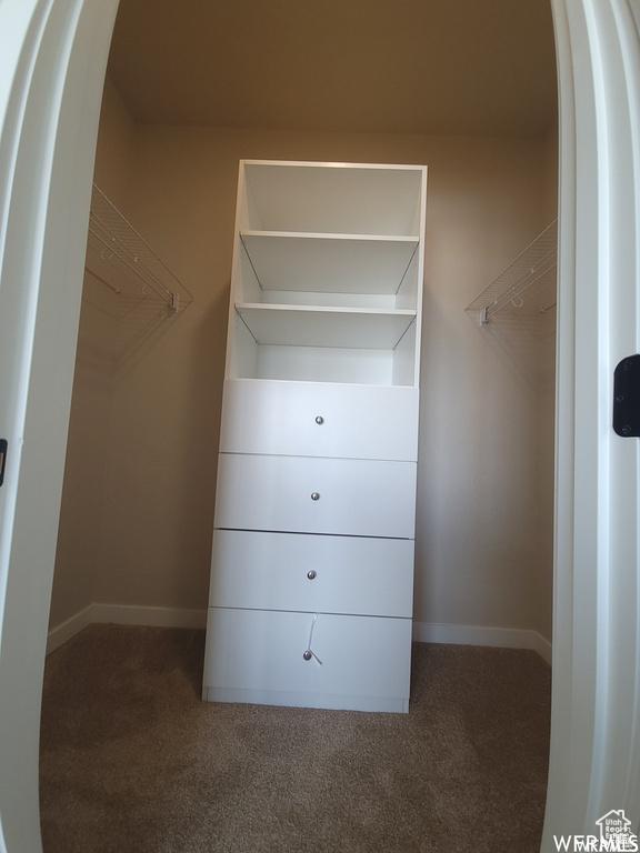 1871 E 840 N Unit 84, Price, UT 84501 - walk in closet featuring dark colored carpet
