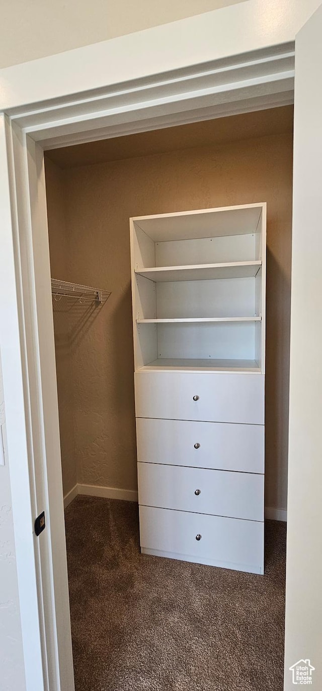 854 N 1880 E Unit 72, Price, UT 84501 - spacious closet with dark carpet