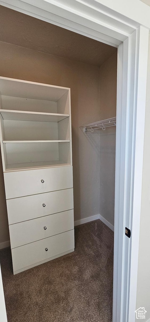 854 N 1880 E Unit 72, Price, UT 84501 - spacious closet with dark carpet