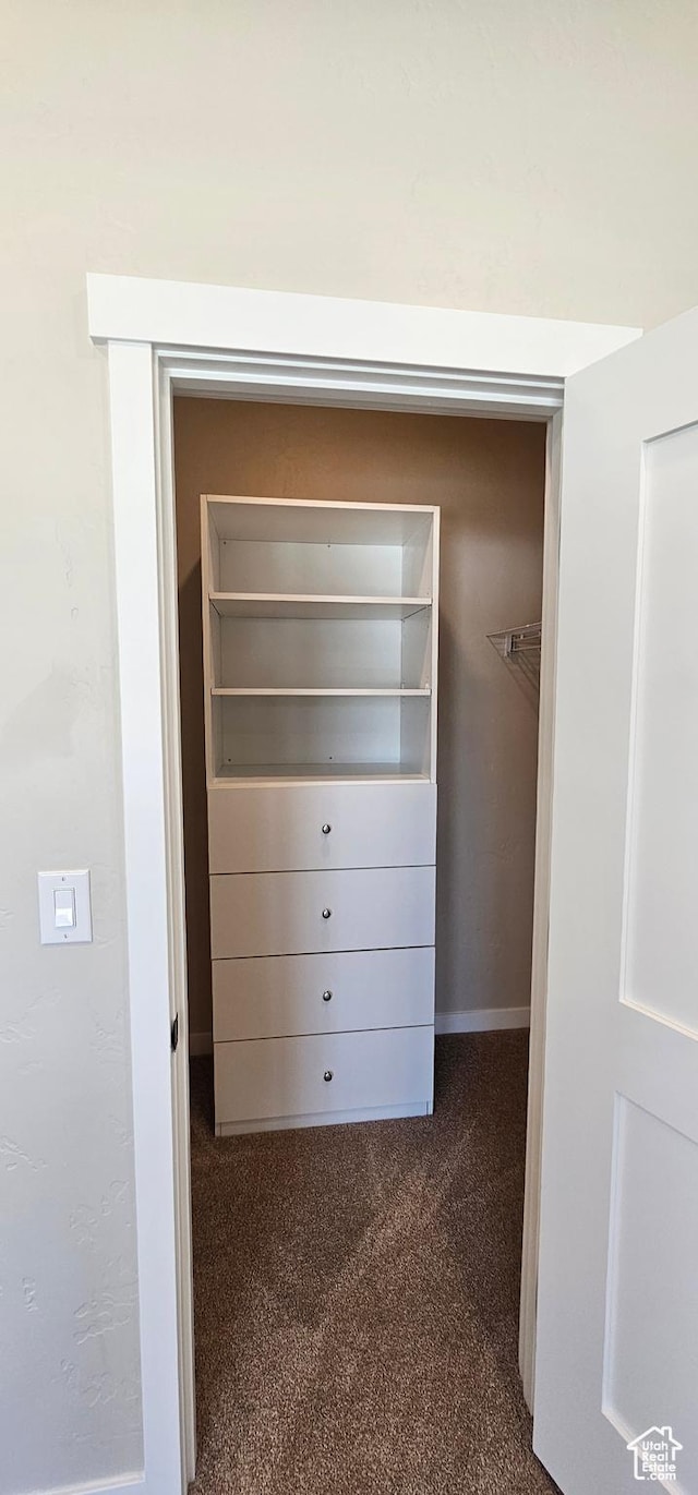 1840 E 840 N Unit 81, Price, UT 84501 - spacious closet with dark carpet