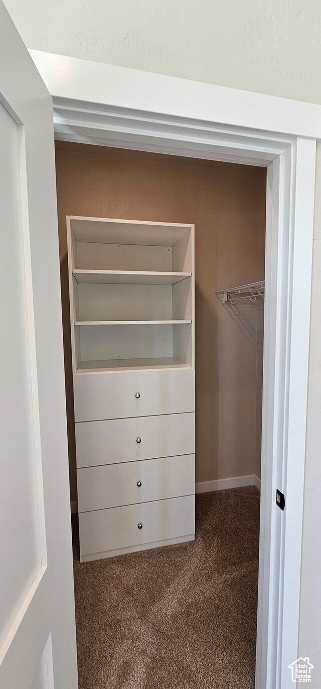1840 E 840 N Unit 81, Price, UT 84501 - walk in closet with carpet floors