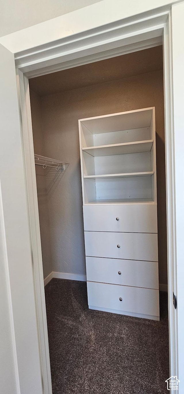 1843 E 840 N Unit 86, Price, UT 84501 - spacious closet with dark carpet