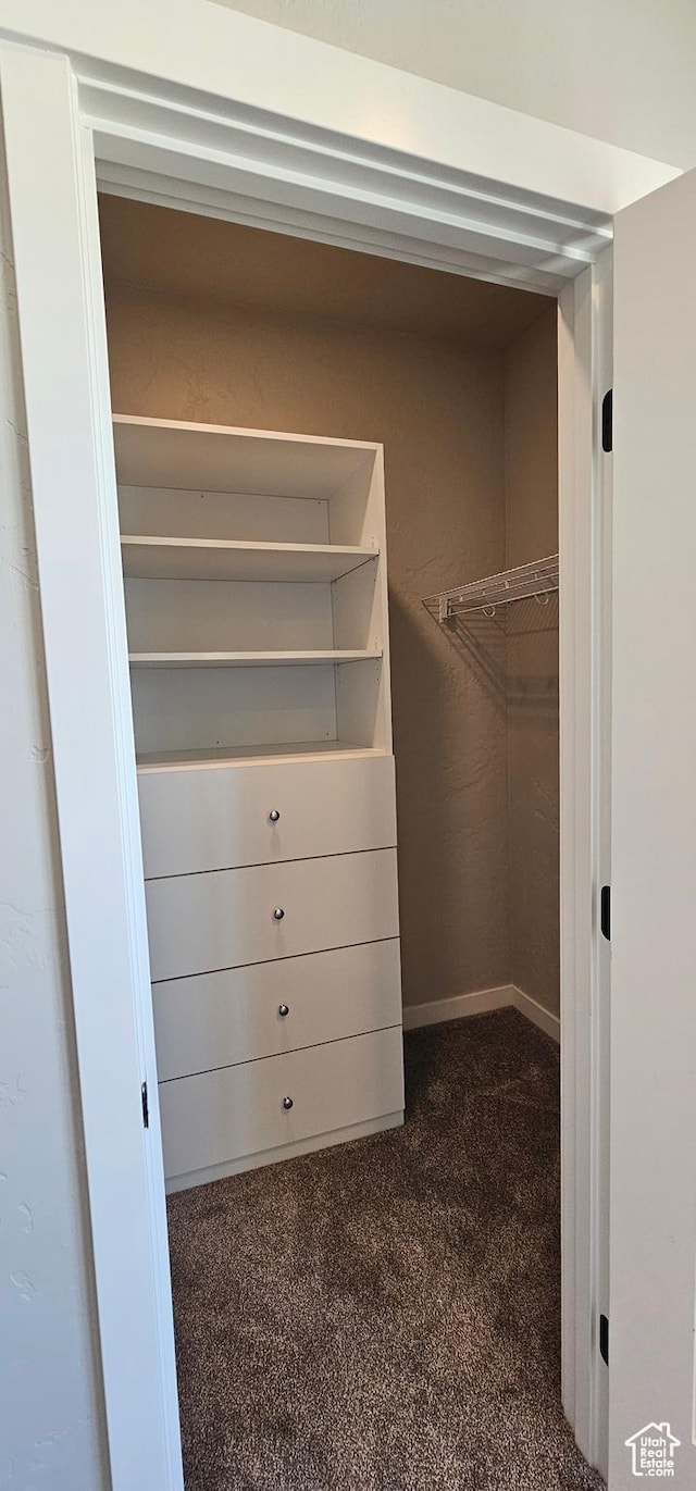 1843 E 840 N Unit 86, Price, UT 84501 - walk in closet featuring dark colored carpet