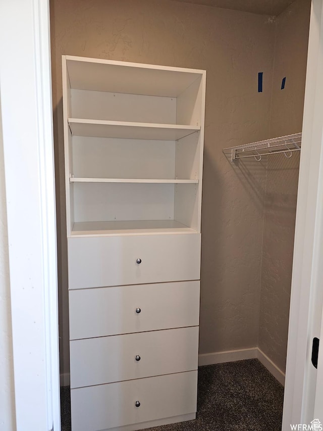 1858 E 840 N Unit 82, Price, UT 84501 - walk in closet featuring carpet floors