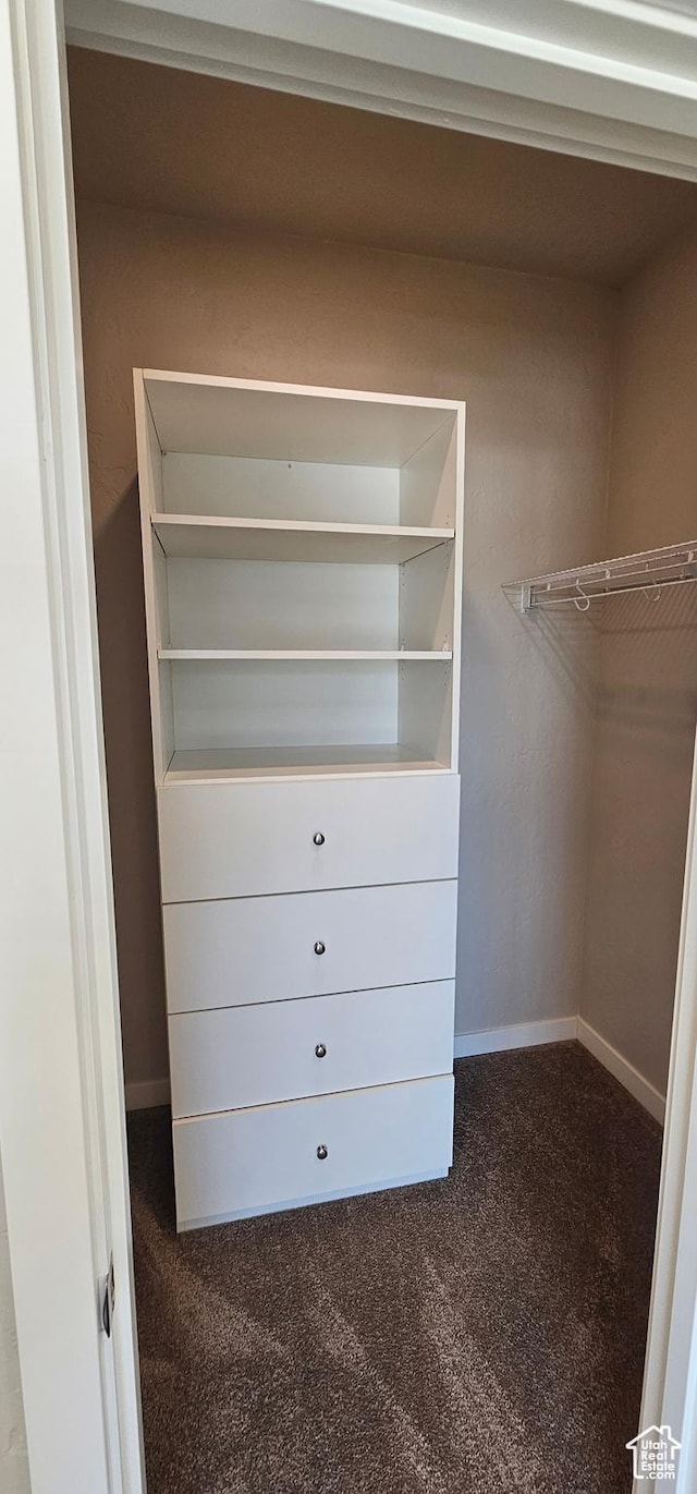 1829 E 840 N Unit 87, Price, UT 84501 - spacious closet featuring carpet floors