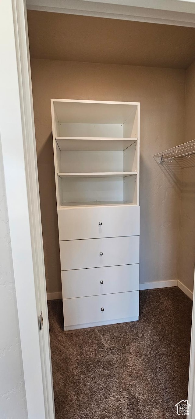 walk in closet with carpet floors