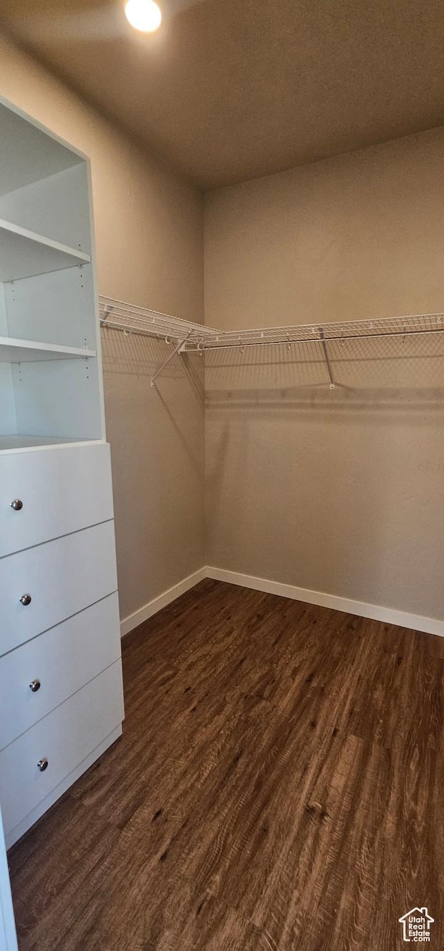 spacious closet with dark wood-type flooring