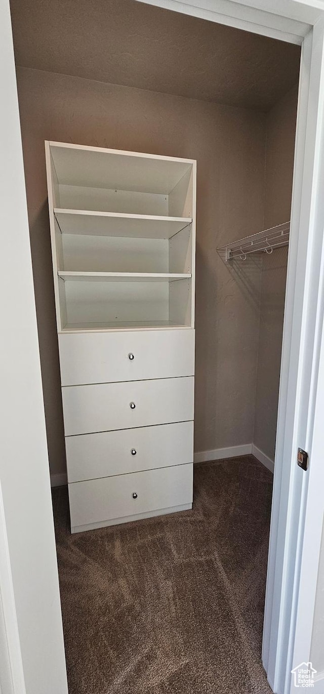 walk in closet featuring dark colored carpet
