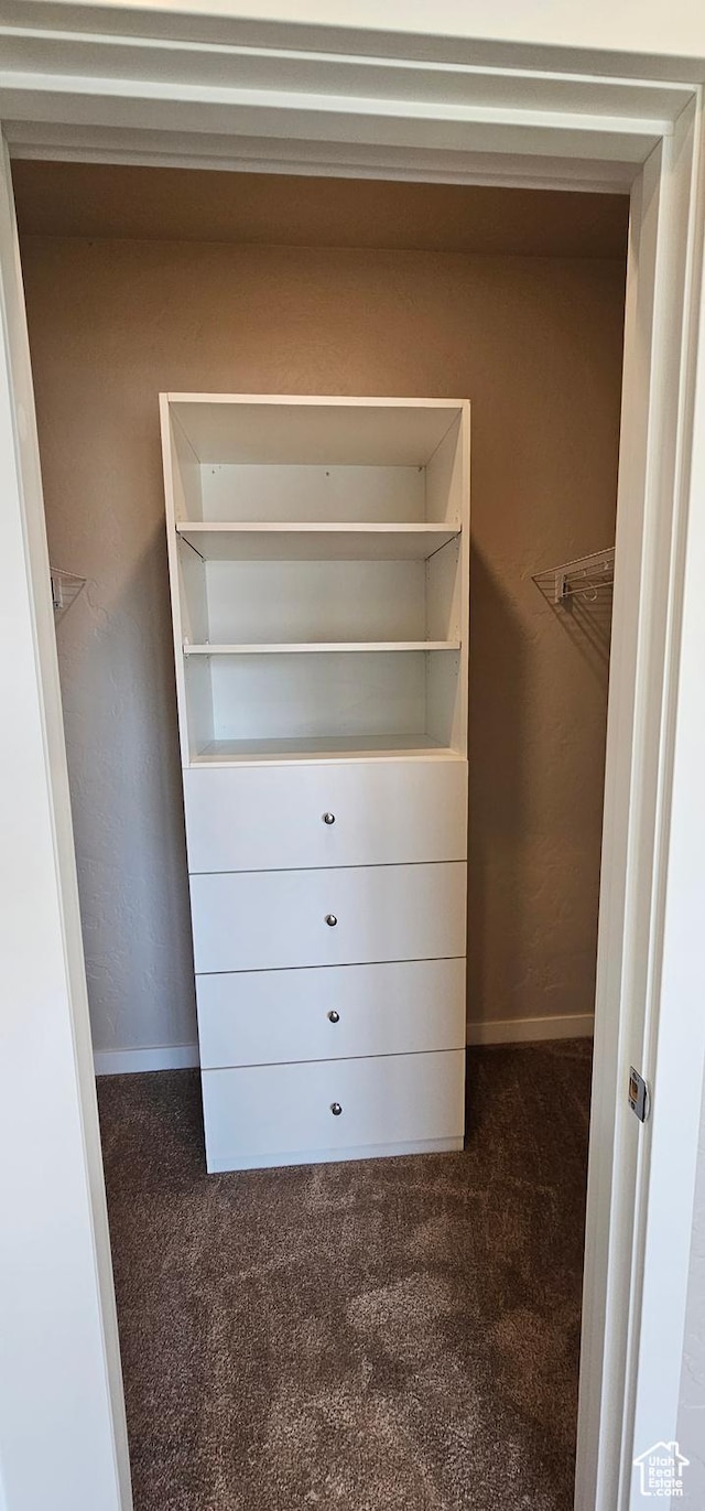 868 N 1880 E Unit 71, Price, UT 84501 - walk in closet featuring dark colored carpet