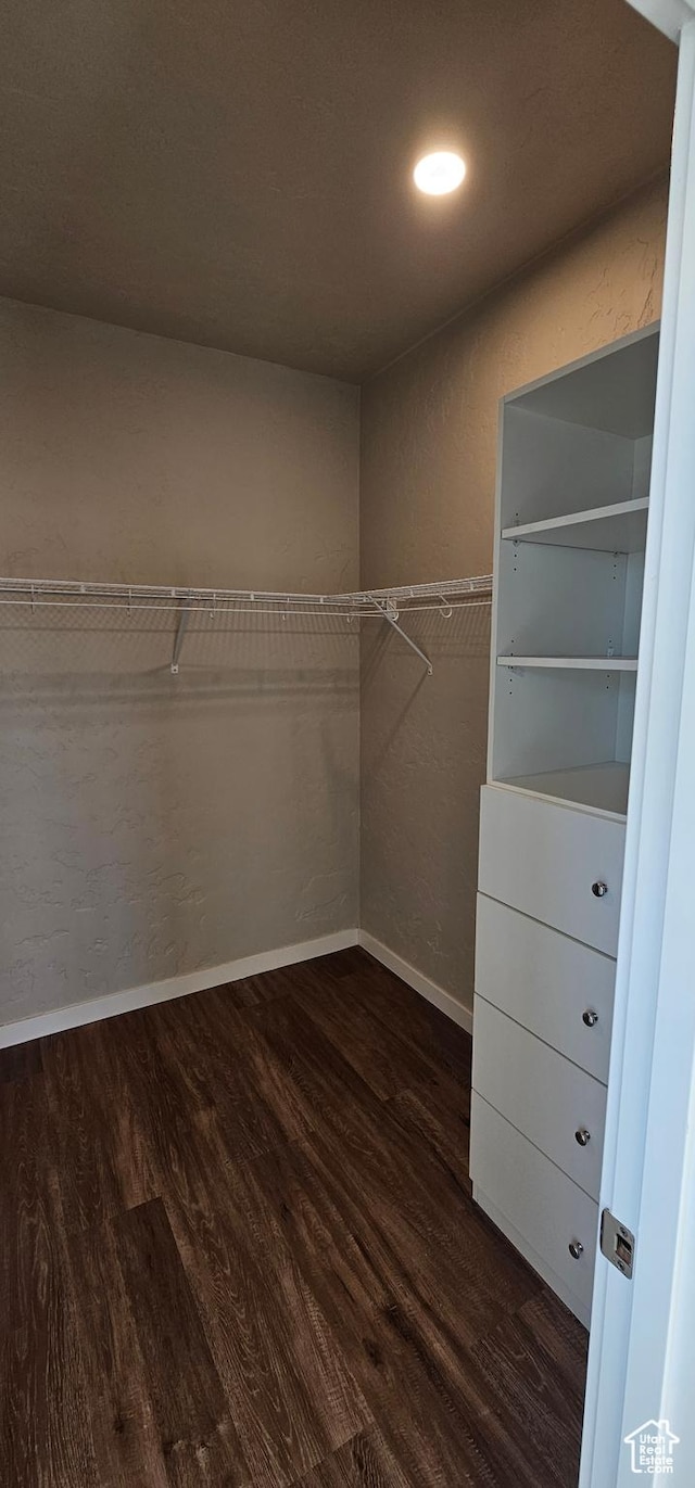 868 N 1880 E Unit 71, Price, UT 84501 - walk in closet with dark hardwood / wood-style floors