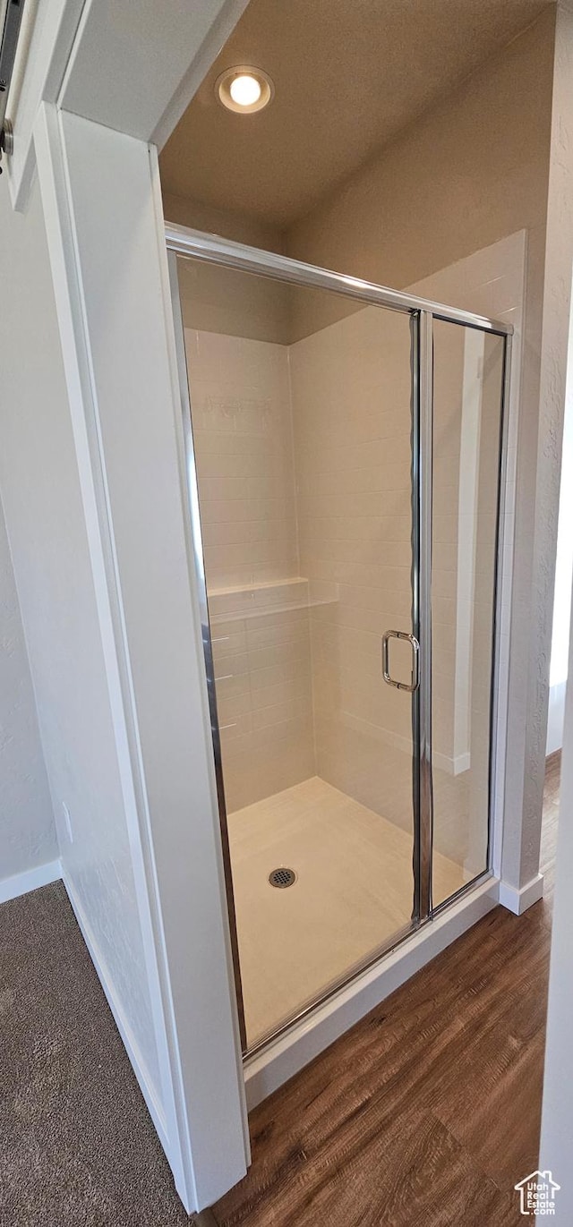 1830 E 840 N Unit 80, Price, UT 84501 - bathroom featuring wood-type flooring and a shower with door